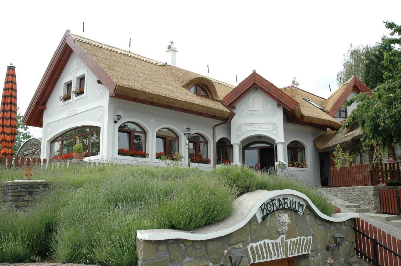 Ferenc Vendégház - B&B