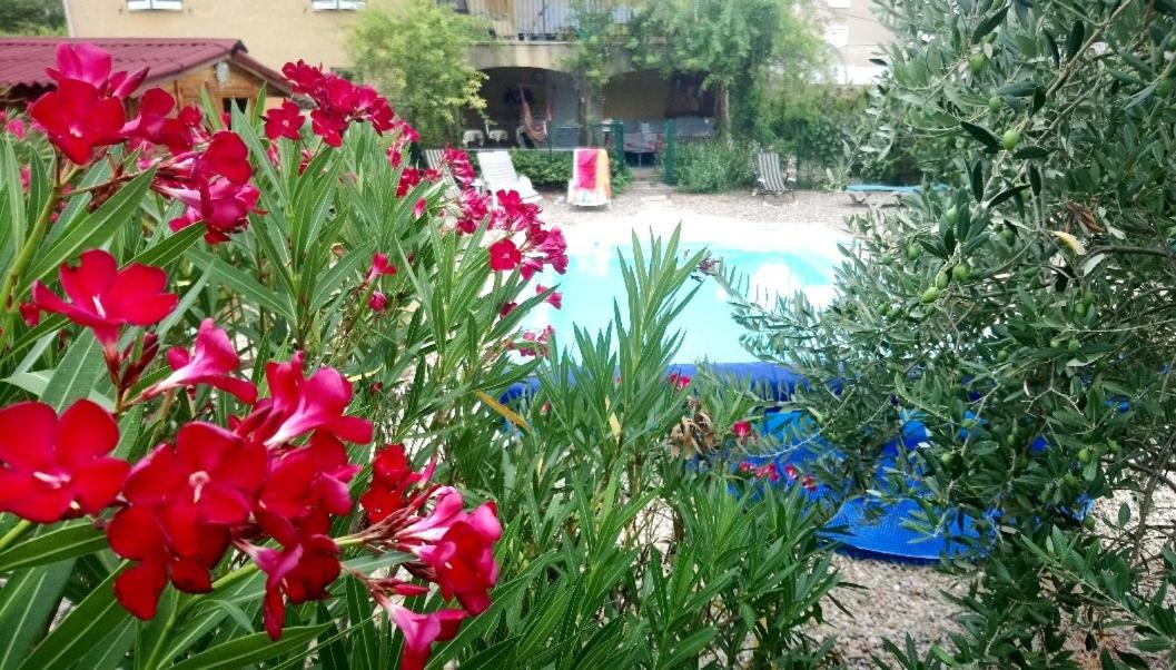 Chambre studio cuisine indépendant 2 pers piscine proche Thermes des Fumades - Chambres d’hôtes