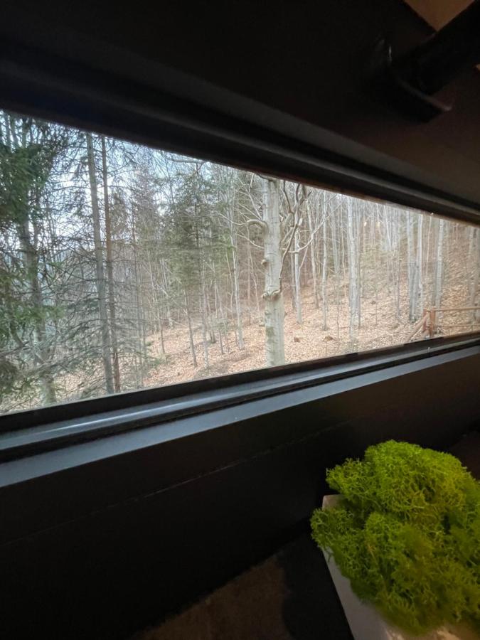 Domek na drzewie Ceprowo - Ferienwohnung Szczyrk