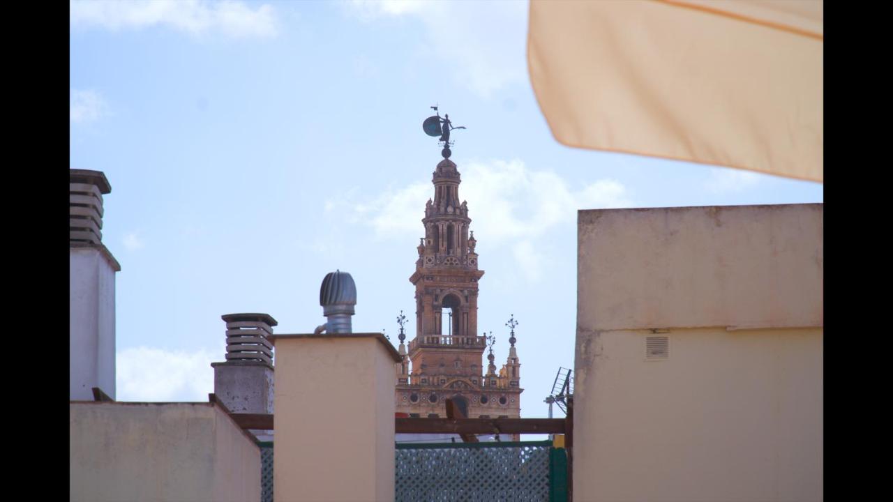 Entre Catedrales Terrace - Ferienwohnung