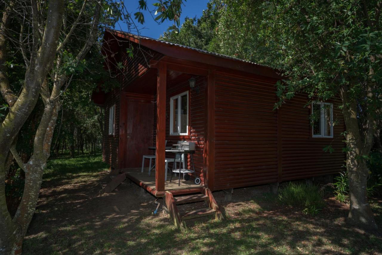 Bungalow 2 Chambres - Vue sur Forêt