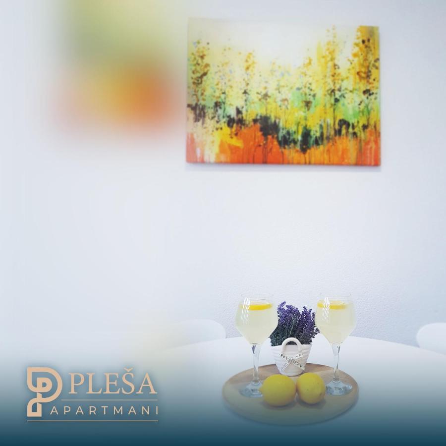 Apartment Pleša - B&B