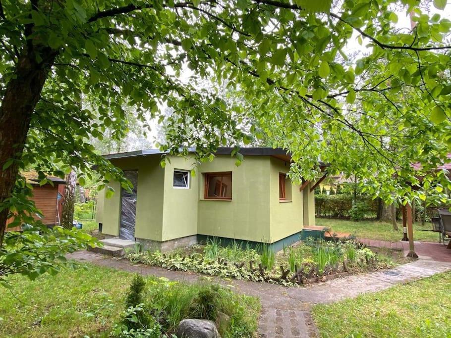 B&B Międzychód - Leśna Ostoja w centrum Puszczy Nadnoteckiej otoczona 3 jeziorami - Bed and Breakfast Międzychód