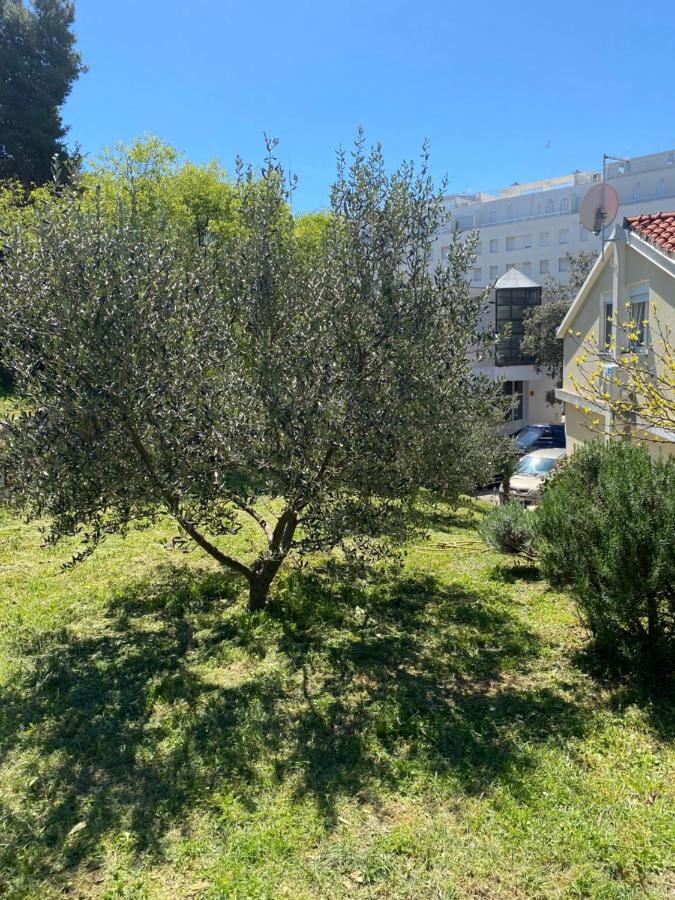 Apartman Zadar Centar(free parking and wi-fi) - Ferienwohnung Zadar