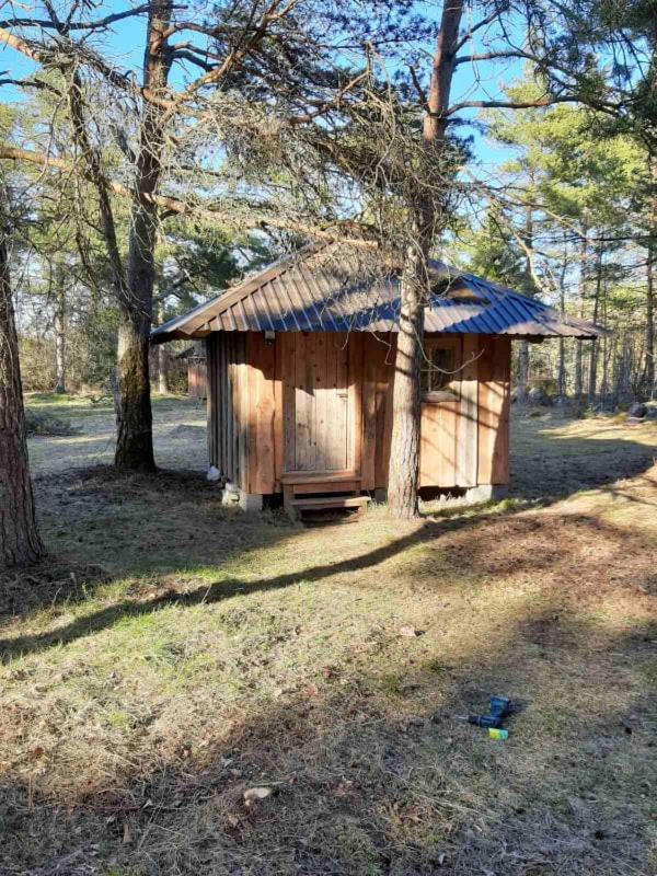 Ratsu Turismitalu - B&B Jõgela