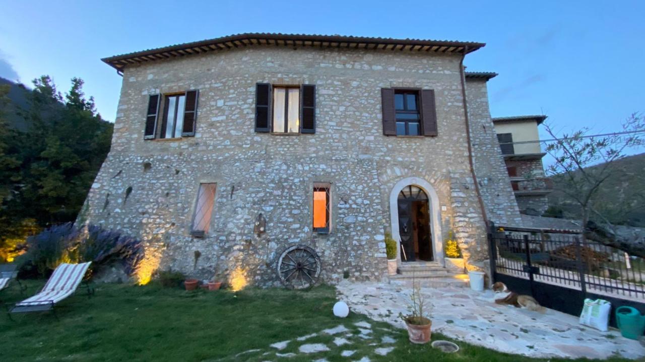 Agriturismo campagna in compagnia - B&B Vallo di Nera