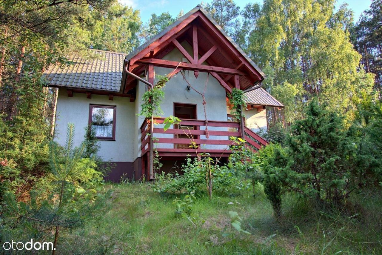 Dom całoroczny w Borach Tucholskich - B&B