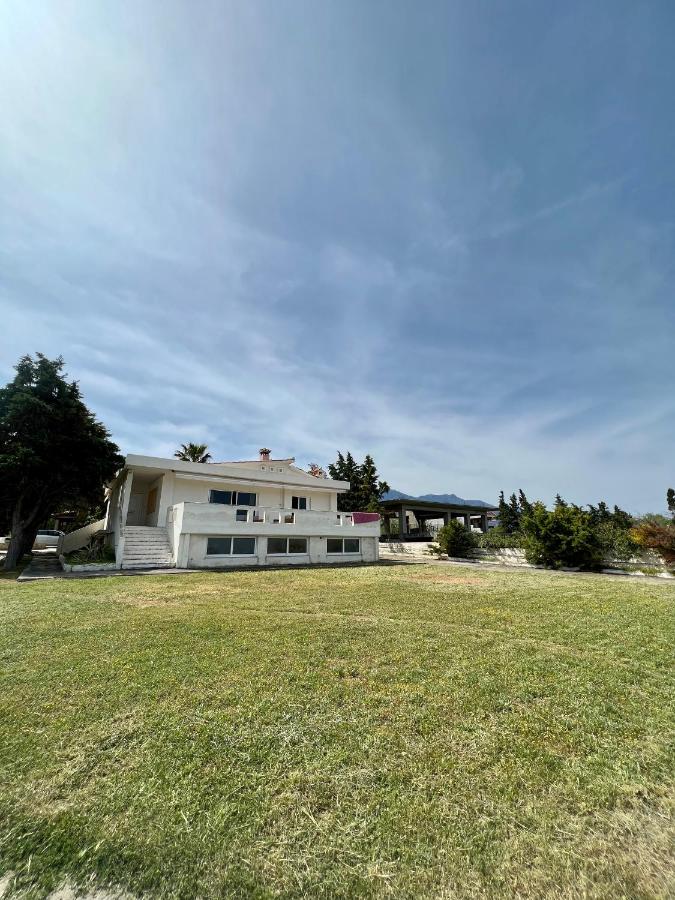 Alepochori Seaside Village - B&B