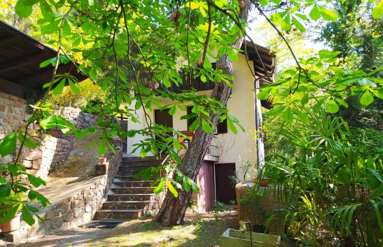 TORRE GARDEN HOME - casa singola nella città di Bolzano con giardino privato - Chambres d'hôtes Bolzano