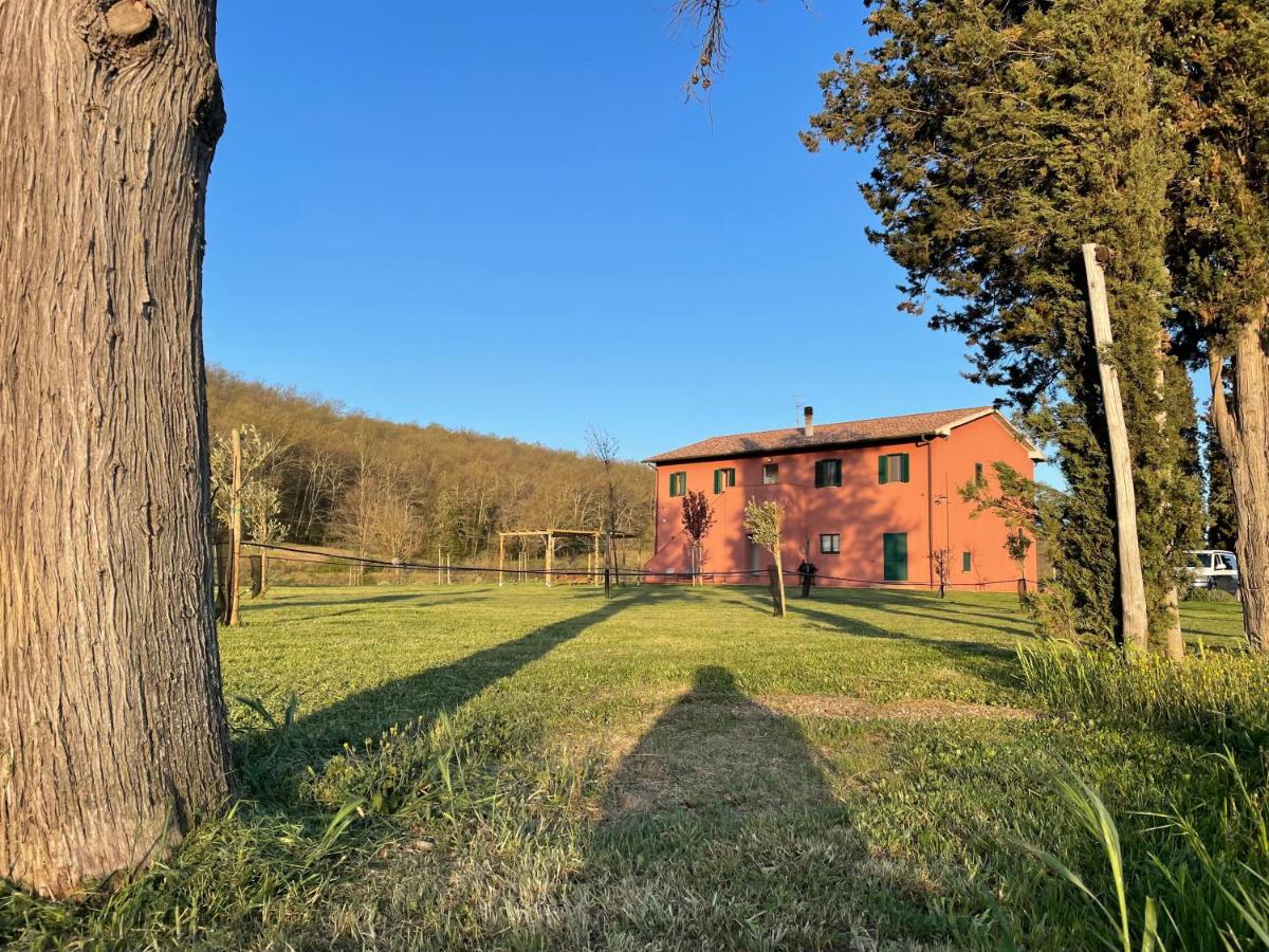 B&B Paganico - Appartamento TERRACOTTA nel Podere Gretano - Bed and Breakfast Paganico