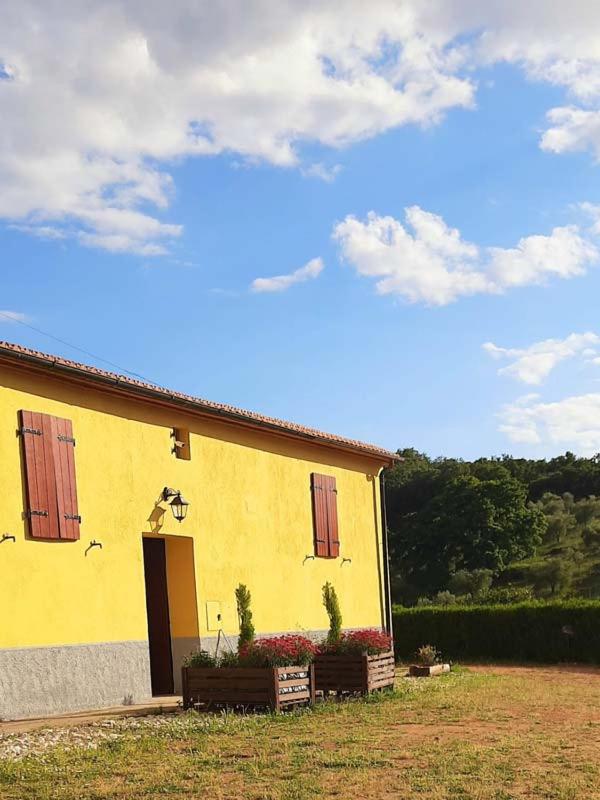 Appartement avec Terrasse