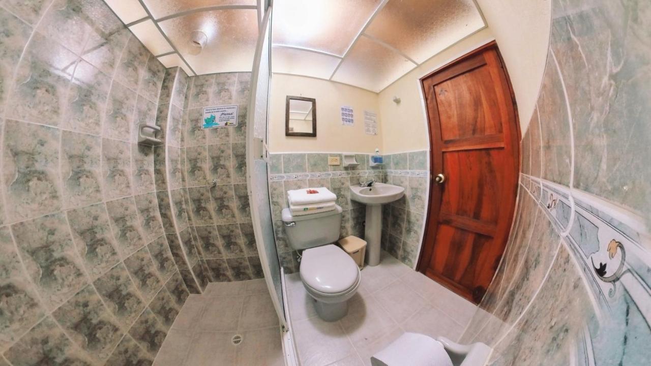 Single Bed in Mixed Dormitory Room