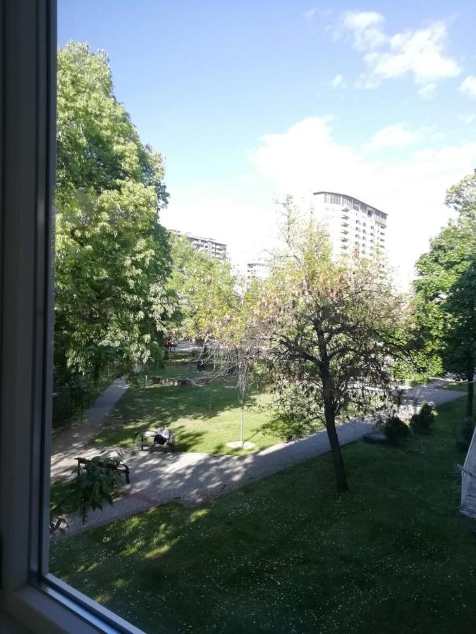 EVAs WorldMap Apartment - B&B