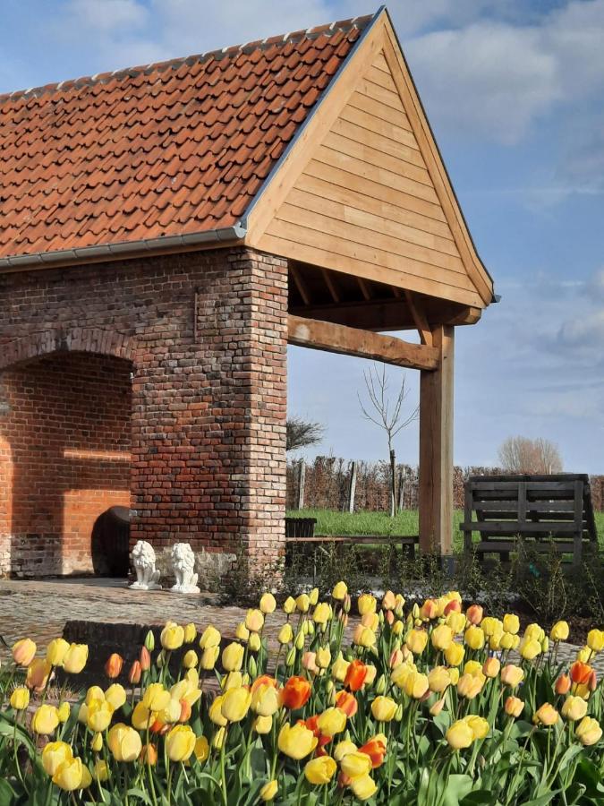 Molenbergrust - B&B Zwalm