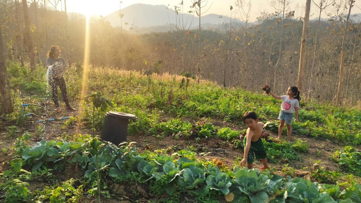 Villa con 2 Camere da Letto