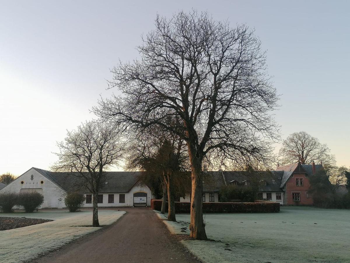 Edelsminde Bed & Breakfast - B&B