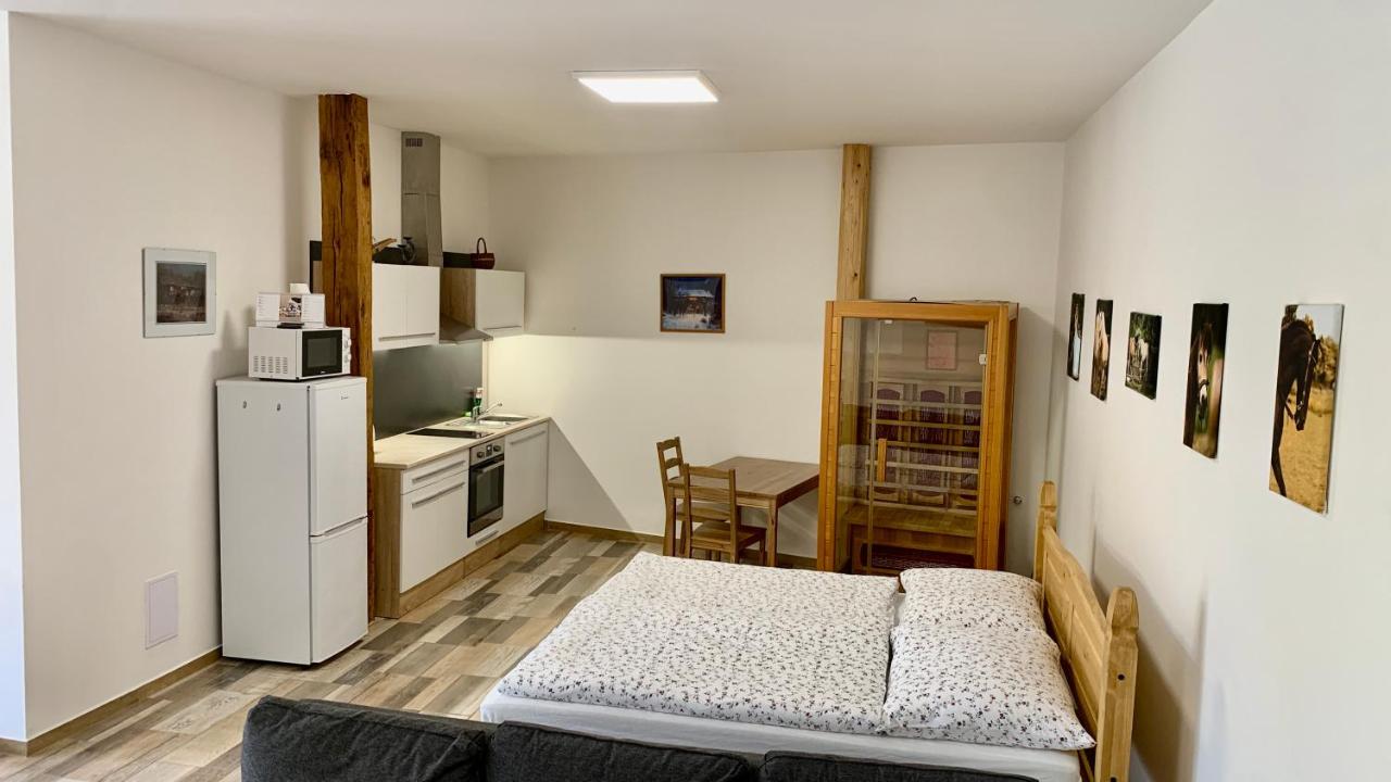 Studio met Kingsize Bed