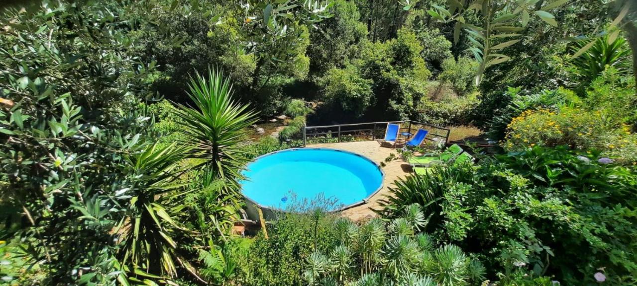 Casa Ribeira - Ferienwohnung