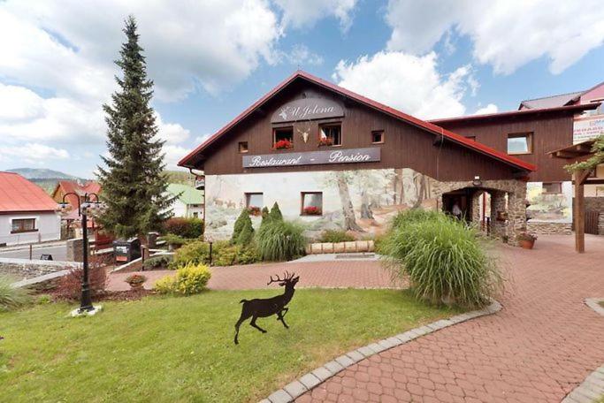Penzion U Jelena - Ferienwohnung