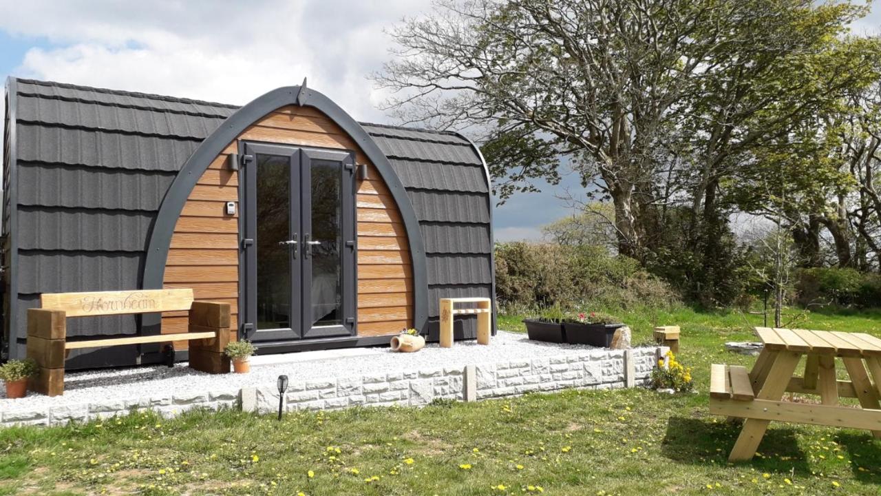 B&B Launceston - Hornbeam - Luxury Pod at Trewithen Farm Glamping - Bed and Breakfast Launceston