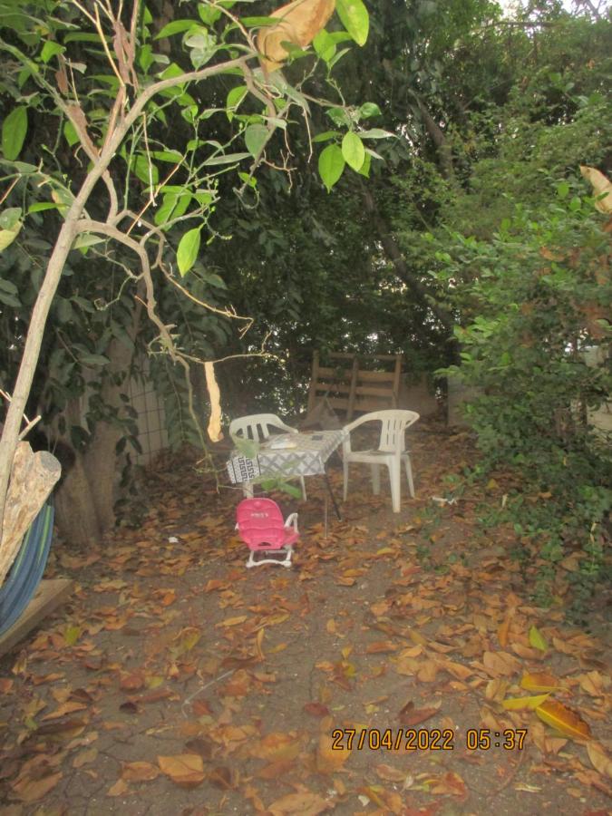 דירת אירוח בצל האילנות - B&B Qiryat Ata