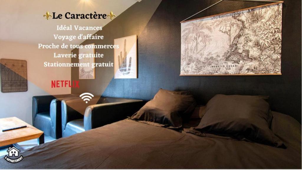 B&B Niort - Le Caractère - centre ville- WIFI- parking - Bed and Breakfast Niort