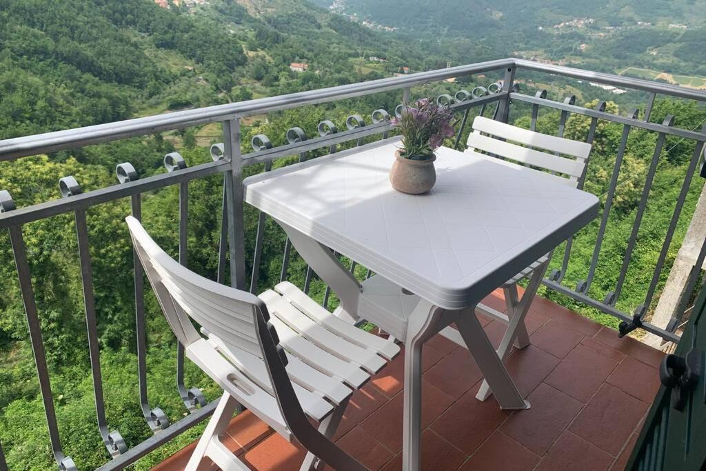 La Terrazza sulle Apuane - B&B