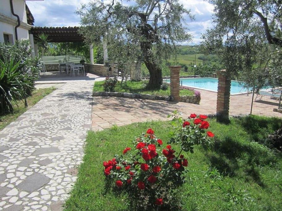 B&B Miglianico - Exclusive Swimming Pool - Bed and Breakfast Miglianico