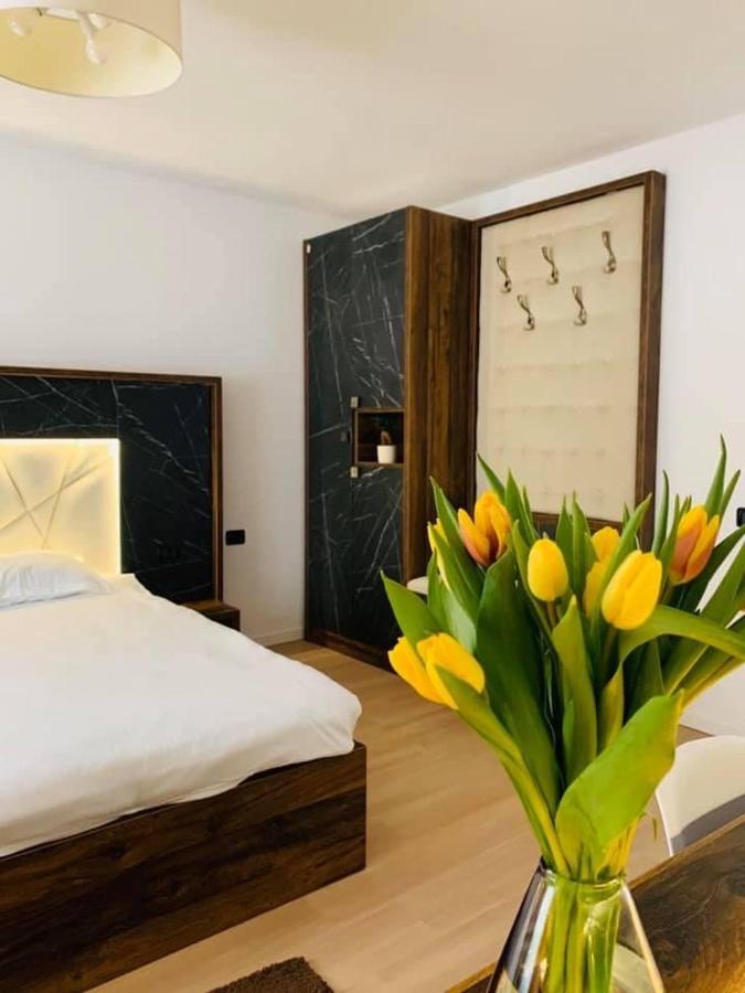 B&B Valea Putnei - Valea Putnei Residence- Rooms for rent - Bed and Breakfast Valea Putnei