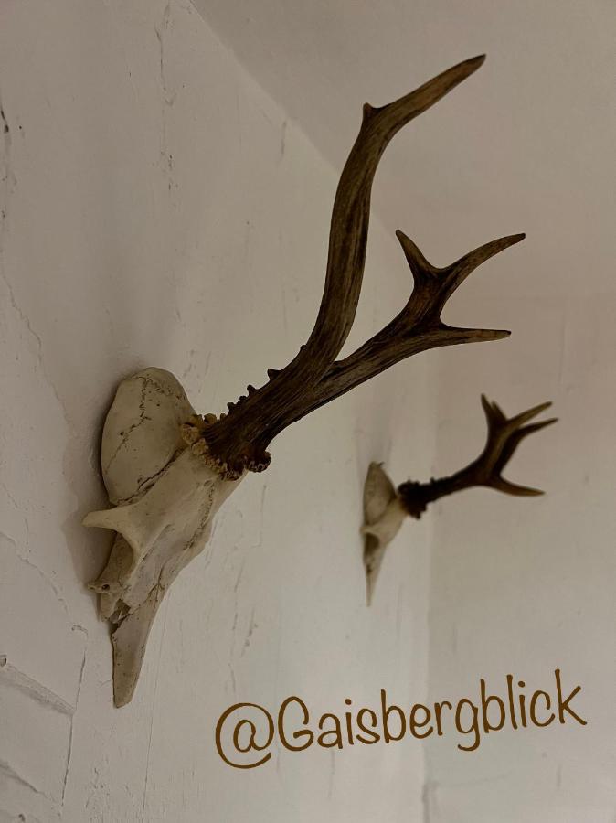 Gaisbergblick - B&B Molln