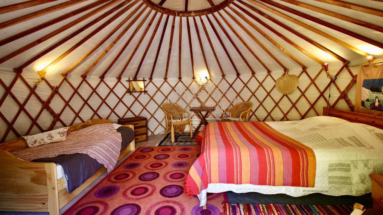 Yurt Tent (3 People)