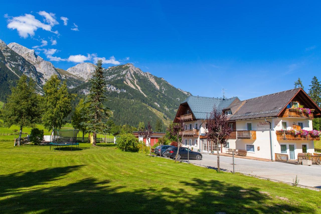 Mühlrad Appartements - B&B