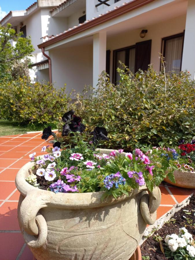 Casa mare e relax - Chambres d’hôtes