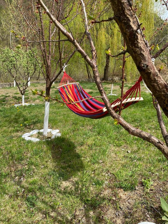 Casa Cărbunaru - B&B Târgu Ocna