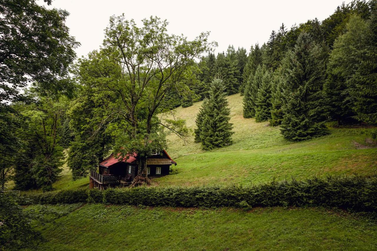 Chaloupka Prischlop - Chambres d’hôtes Velké Karlovice