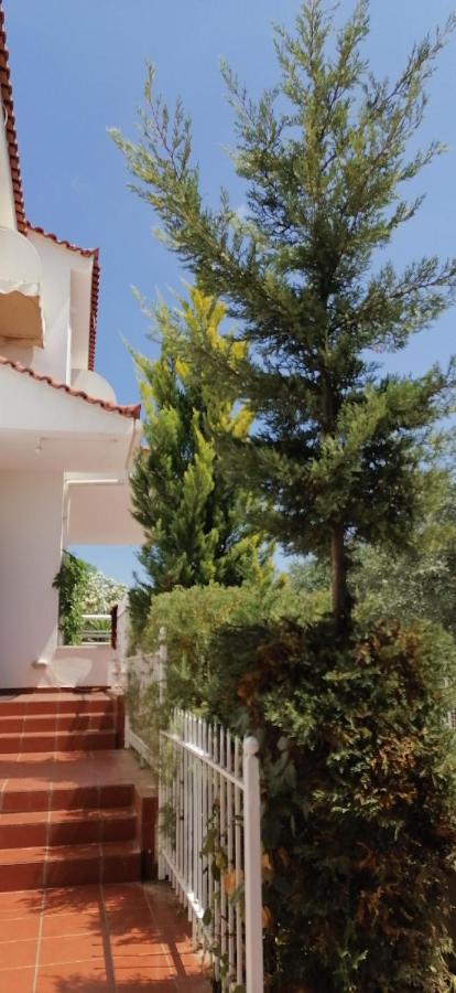 Ευχάριστη βίλα στη Χαλκίδα στην περιοχή ''Αλυκές'' - B&B