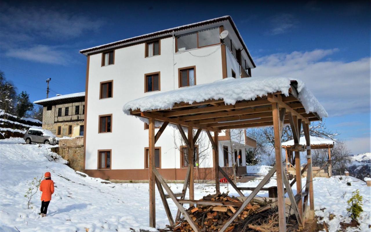 Hayrat black sea aparts - B&B
