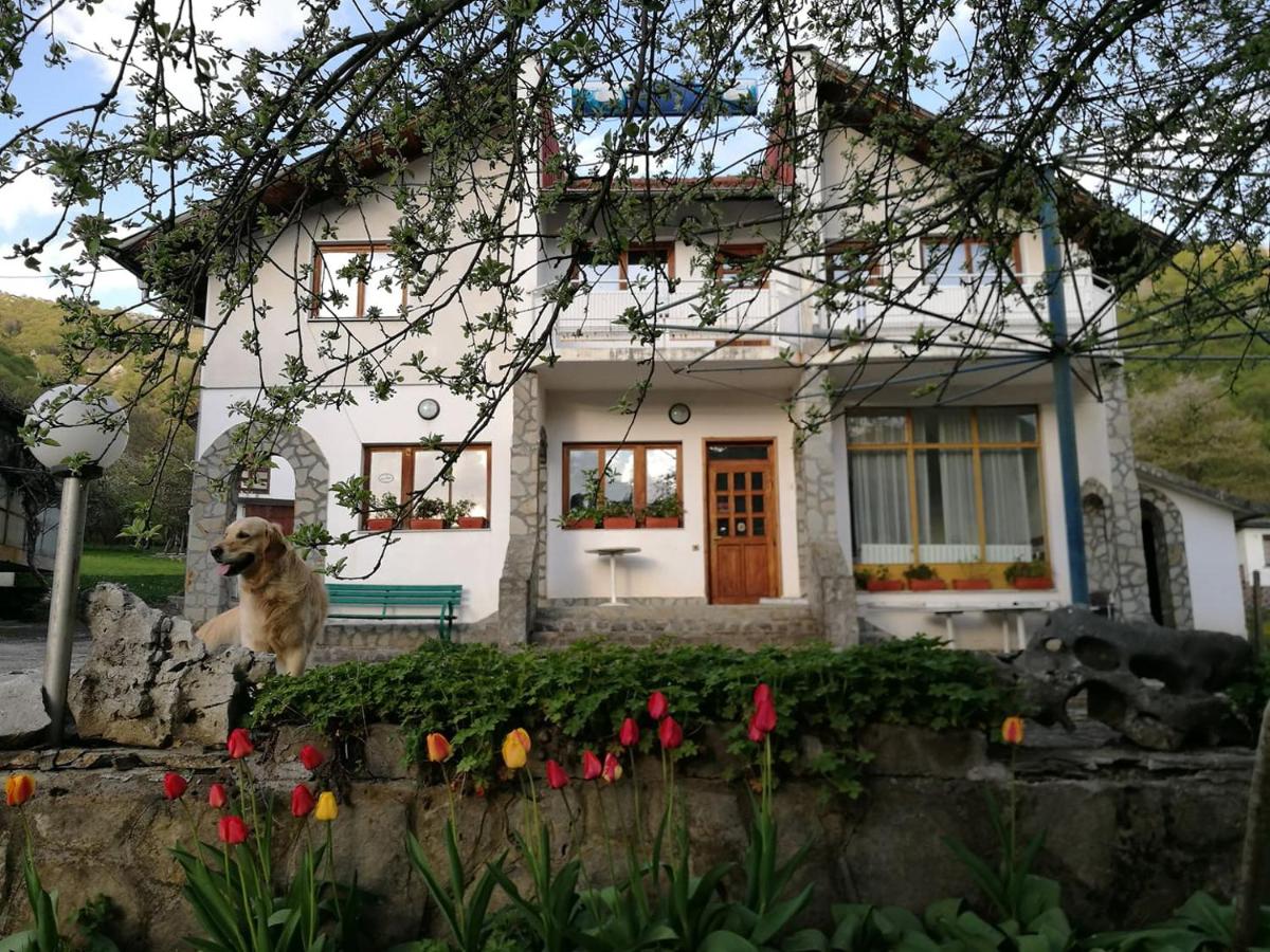 Самостоятелни стаи в къща за гости Балкан - B&B