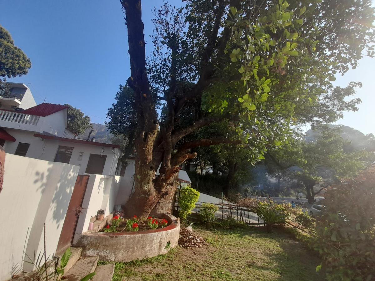 Habitación Doble con vistas al jardín