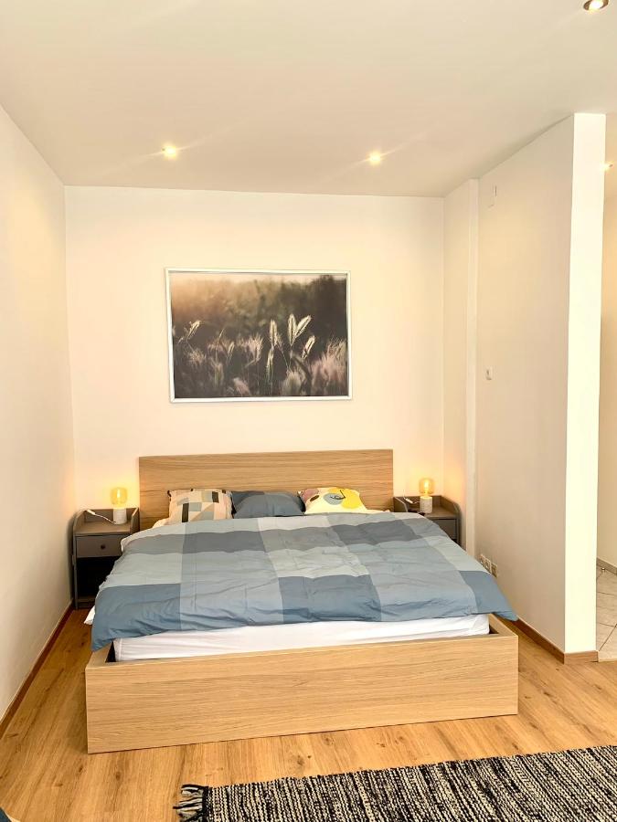 Appartement 1 Chambre