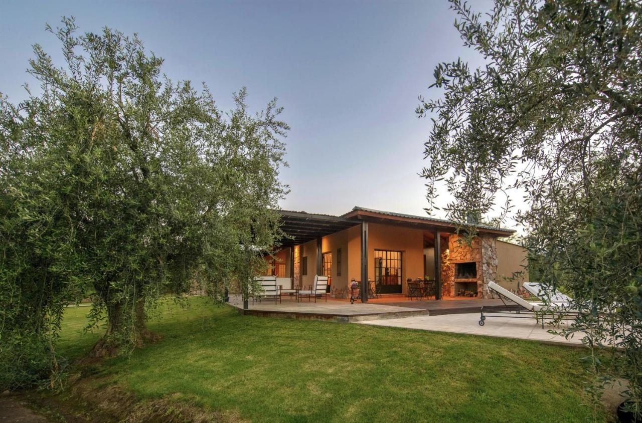 Posada Verde Oliva - Chambres d’hôtes Maipú