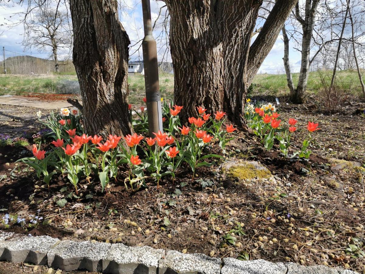 Tofta Konstgalleri-Familjelägenhet - B&B Varberg