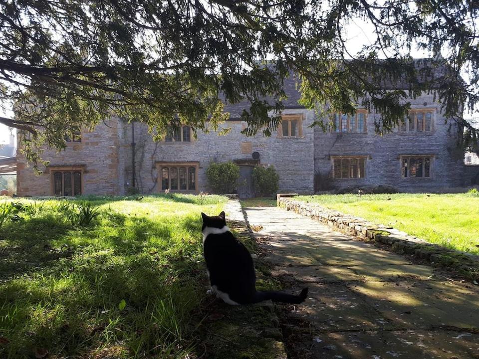The Manor House, Curry Mallet - Bed and Breakfast