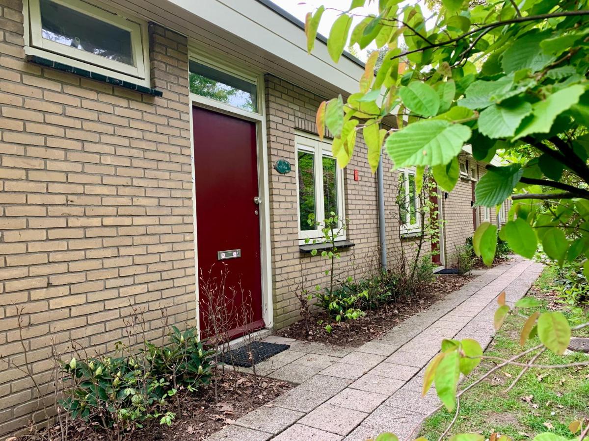 Wilde Moeflon, geniet van de vrije natuur! - B&B Otterlo