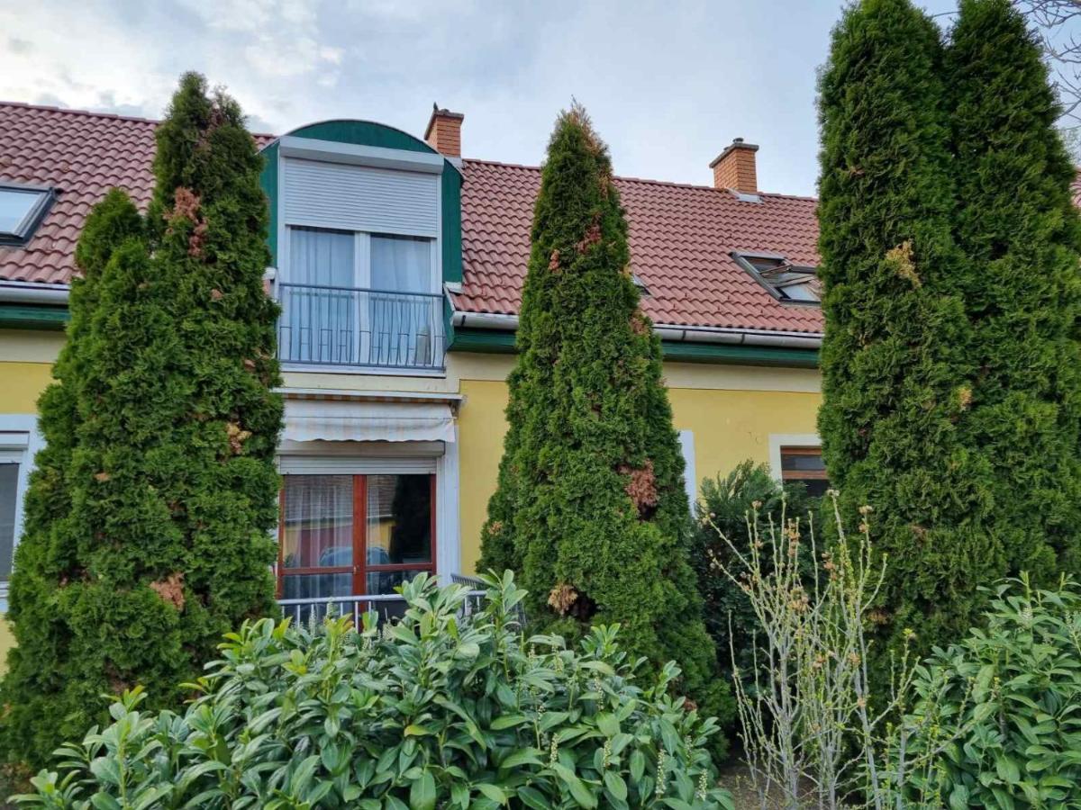 Körteszirom Apartman - B&B