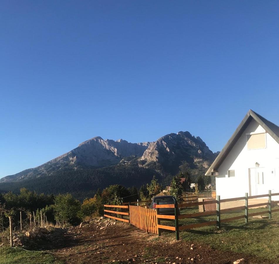 Vista Pitomine - Bed and Breakfast