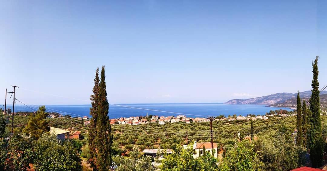 Estudio con vistas al mar