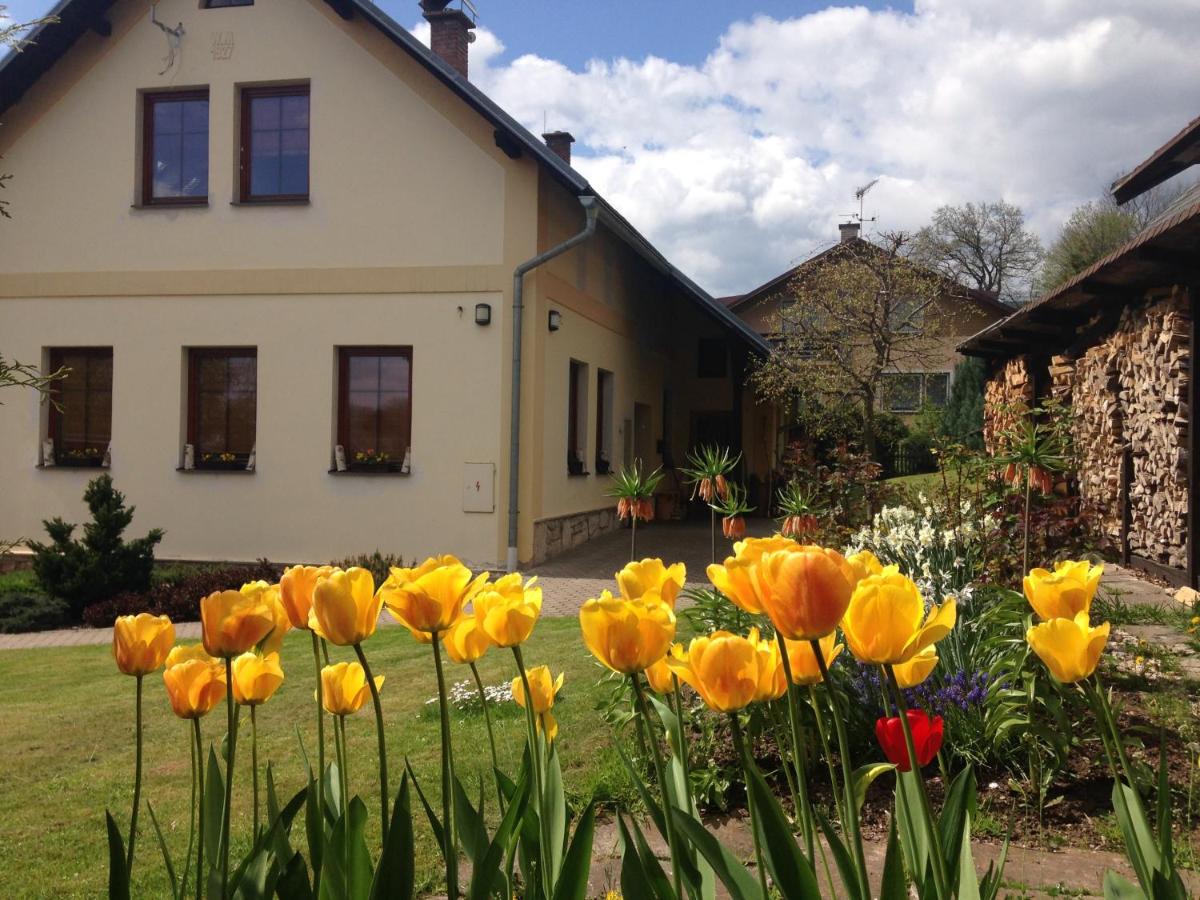 Apartmán Panorama Vrchlabí - Ferienwohnung