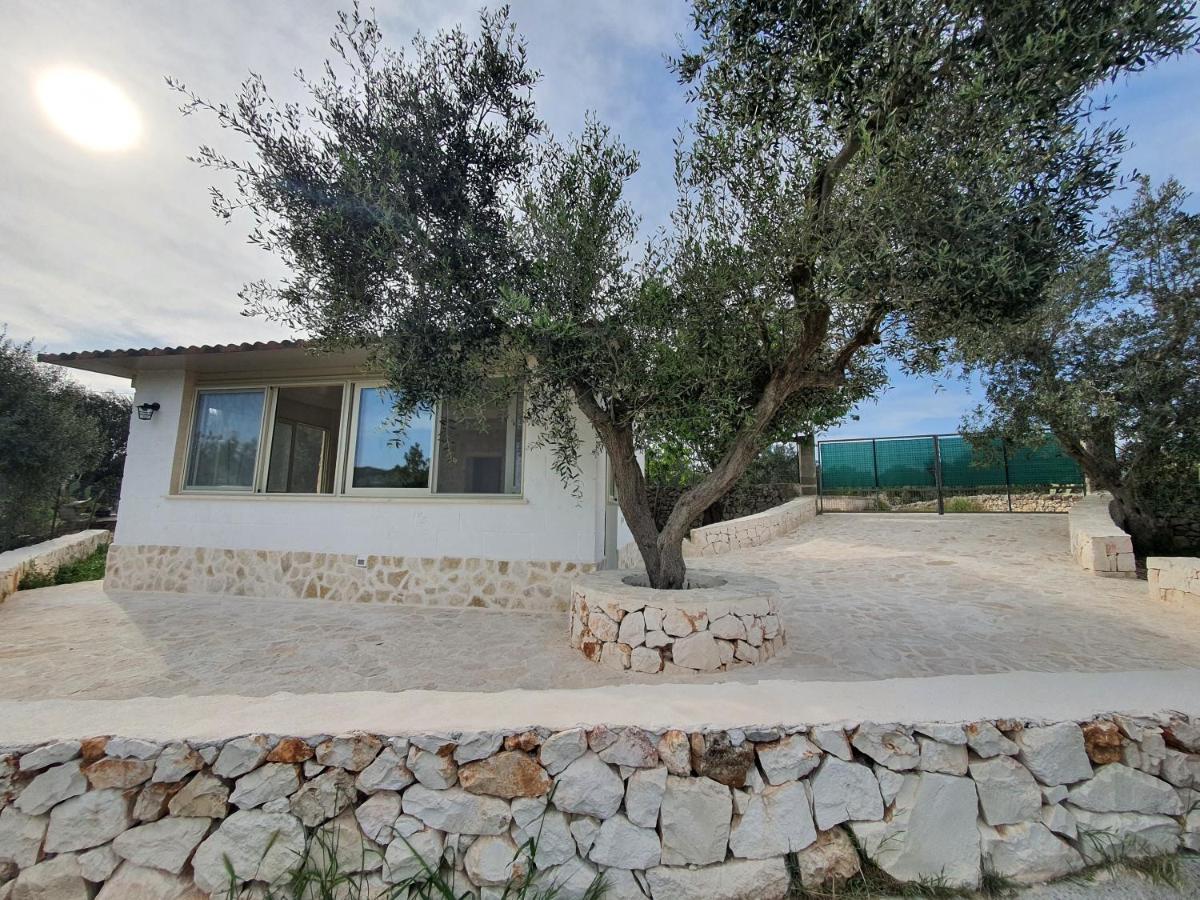 LAMIA GIARDINO DEGLI ULIVI - B&B