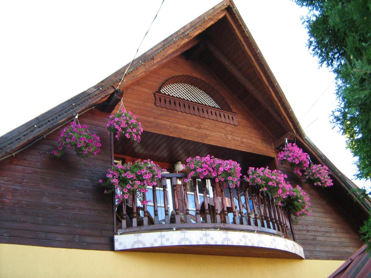 PENSIUNEA DORINA - B&B Praid
